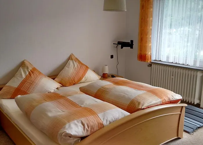 בית הארחה Gaestehaus Kiesgen-mendgen 3*